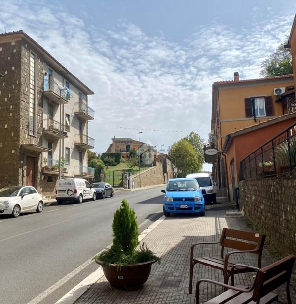 appartamento in vendita a Valentano