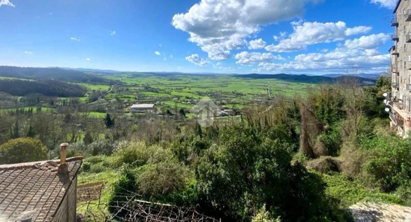 appartamento in vendita a Valentano