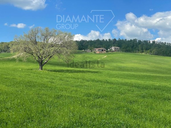 casale in vendita a Valentano