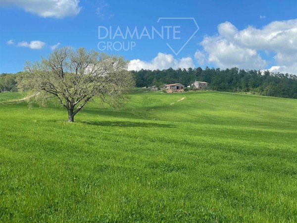 azienda agricola in vendita a Valentano