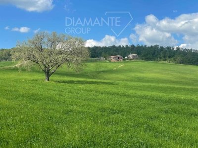 azienda agricola in vendita a Valentano