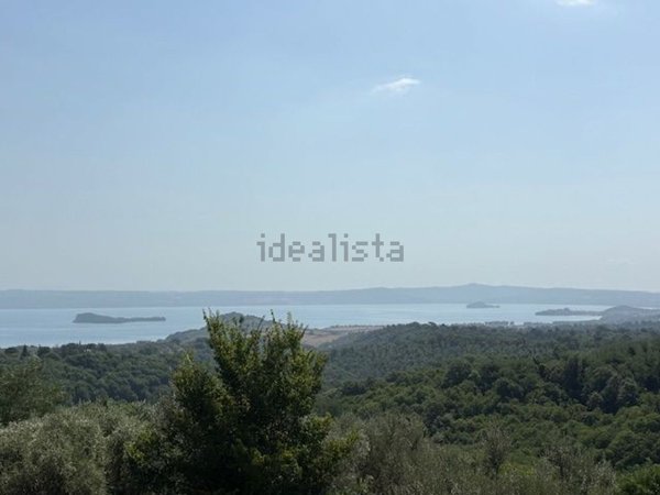 casa indipendente in vendita a Valentano in zona Villa delle Fontane