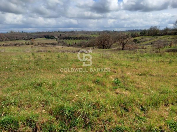 terreno agricolo in vendita a Vasanello