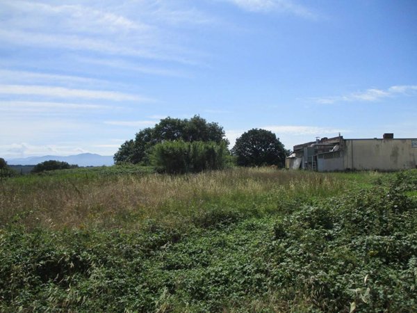 terreno agricolo in vendita a Vasanello