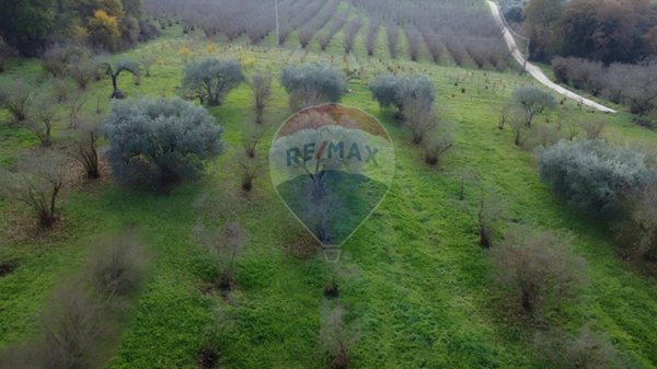 ufficio in vendita a Vasanello