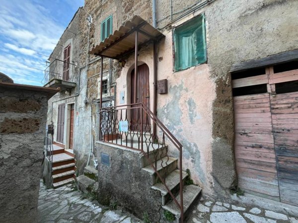 appartamento in vendita a Vasanello