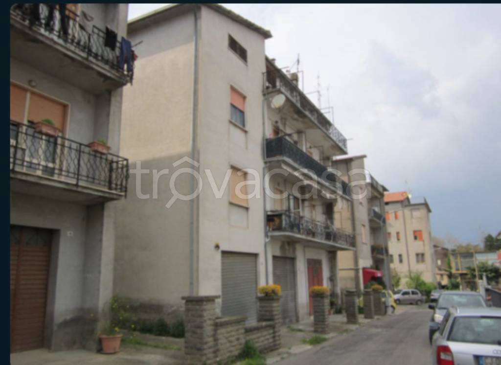appartamento in vendita a Vasanello
