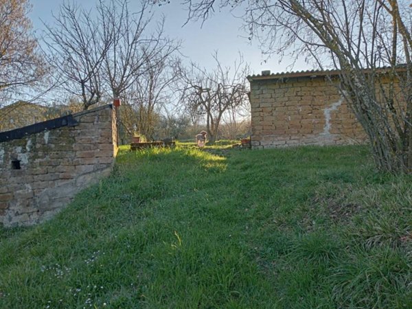 terreno agricolo in vendita a Vasanello