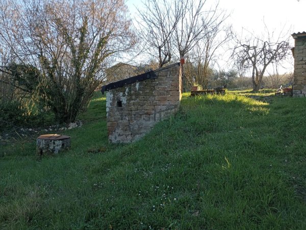 terreno agricolo in vendita a Vasanello