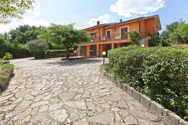 casa indipendente in vendita a Vasanello