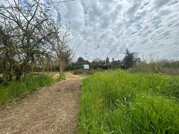 terreno agricolo in vendita a Vasanello