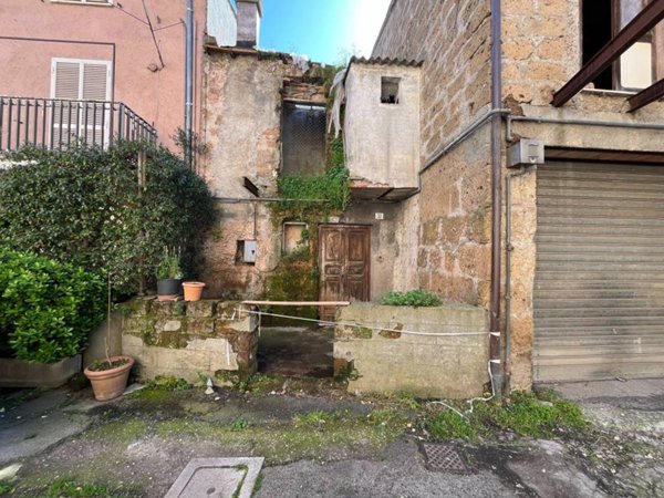 casa indipendente in vendita a Vasanello