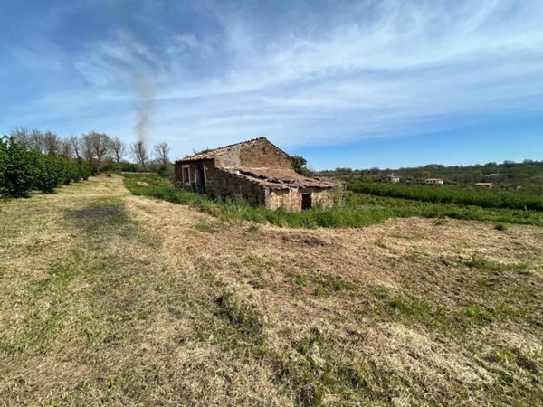 casa indipendente in vendita a Vasanello