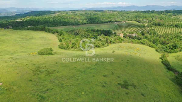 terreno agricolo in vendita a Vasanello