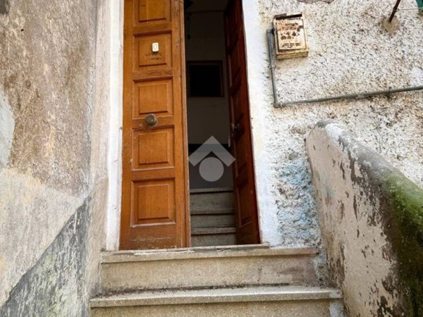 appartamento in vendita a Vasanello