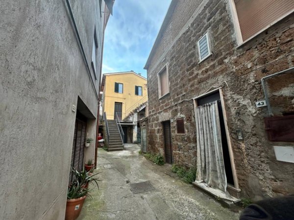appartamento in vendita a Vasanello