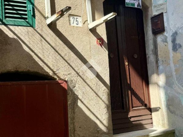 appartamento in vendita a Vasanello