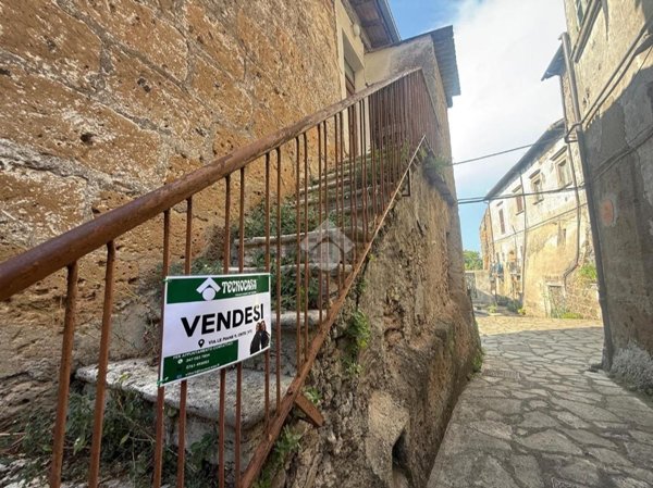 appartamento in vendita a Vasanello