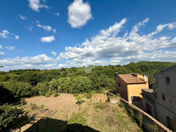 appartamento in vendita a Vasanello
