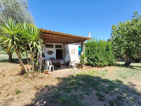 appartamento in vendita a Vasanello