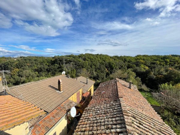 appartamento in vendita a Vasanello