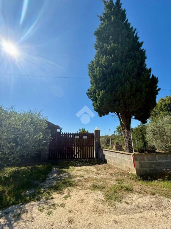 appartamento in vendita a Vasanello