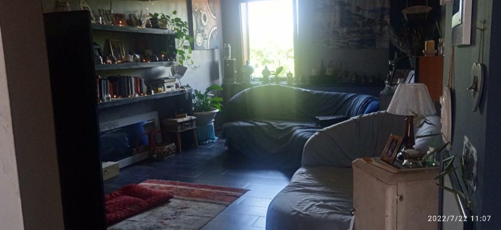 appartamento in vendita a Vasanello