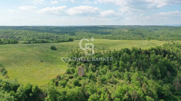 terreno agricolo in vendita a Vasanello