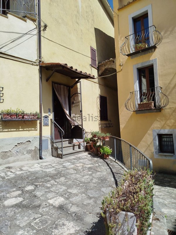 appartamento in vendita a Vasanello