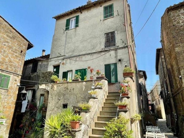 appartamento in vendita a Vasanello