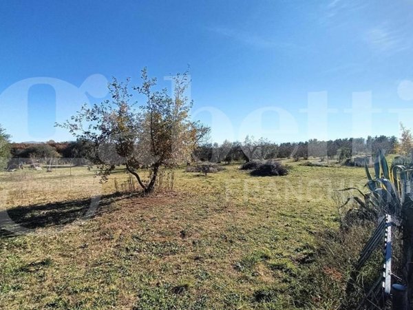 terreno agricolo in vendita a Vasanello