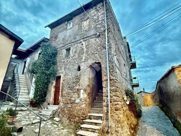 appartamento in vendita a Vasanello