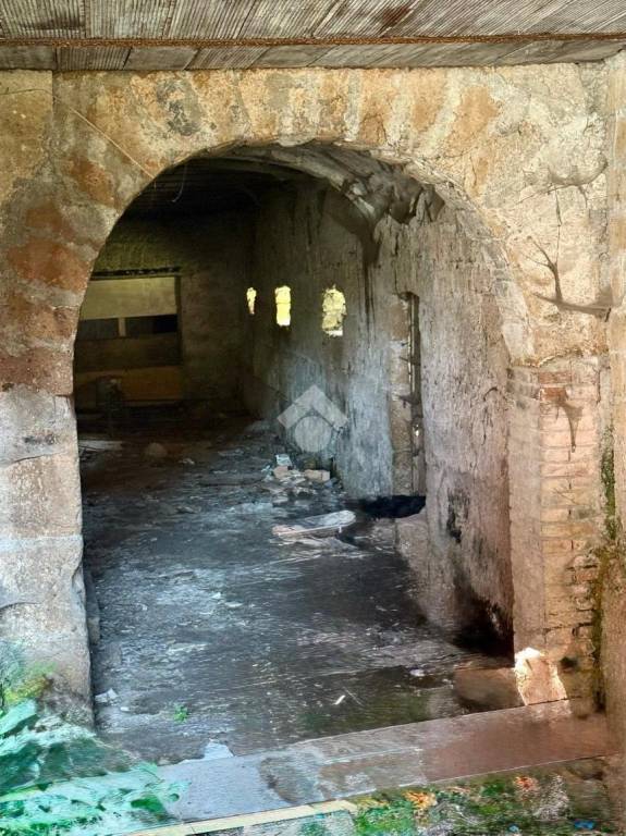 appartamento in vendita a Vasanello