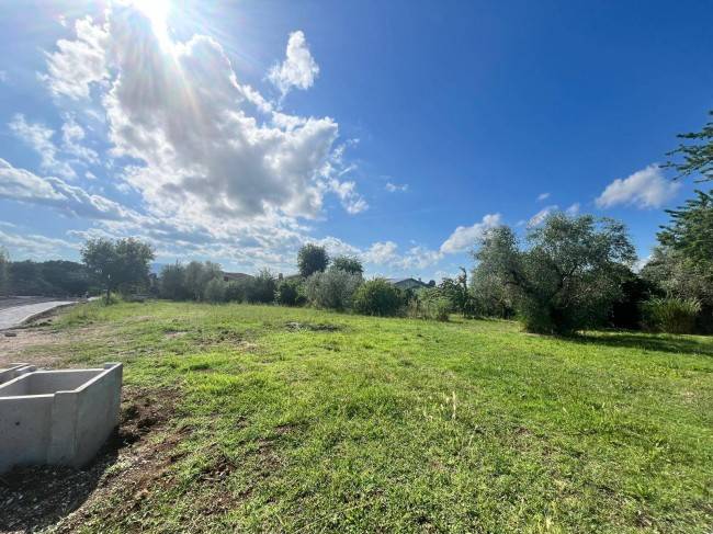 terreno agricolo in vendita a Vasanello