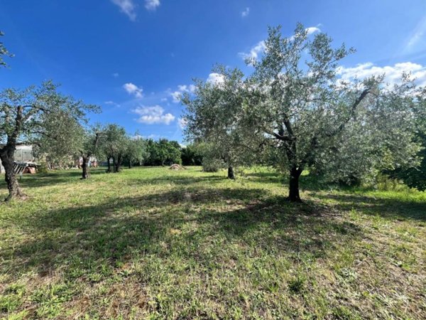 terreno agricolo in vendita a Vasanello