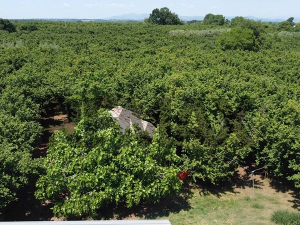 terreno in vendita a Vasanello