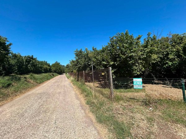 terreno in vendita a Vasanello
