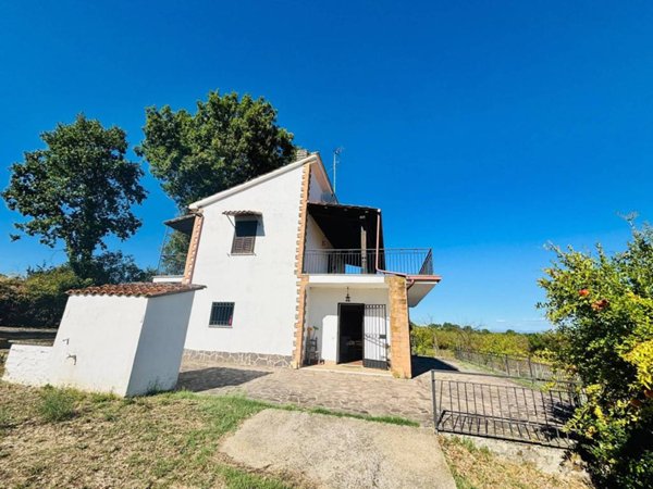 casa indipendente in vendita a Vasanello