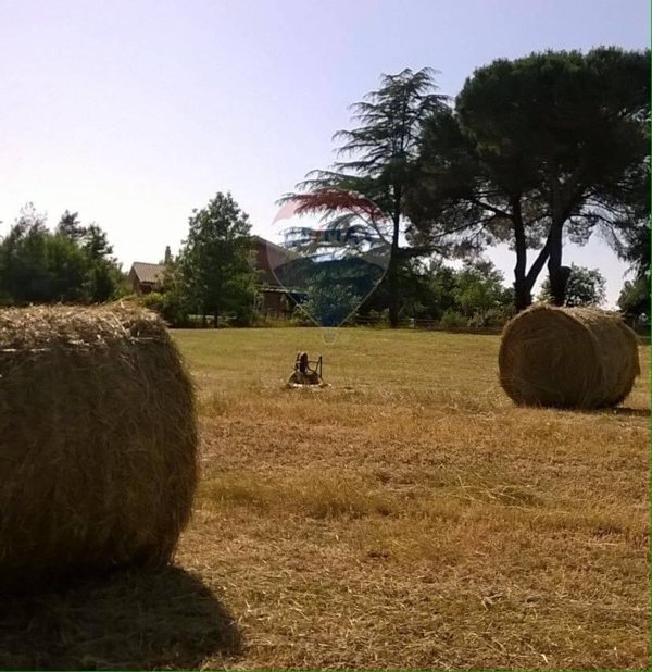 casa indipendente in vendita a Vejano