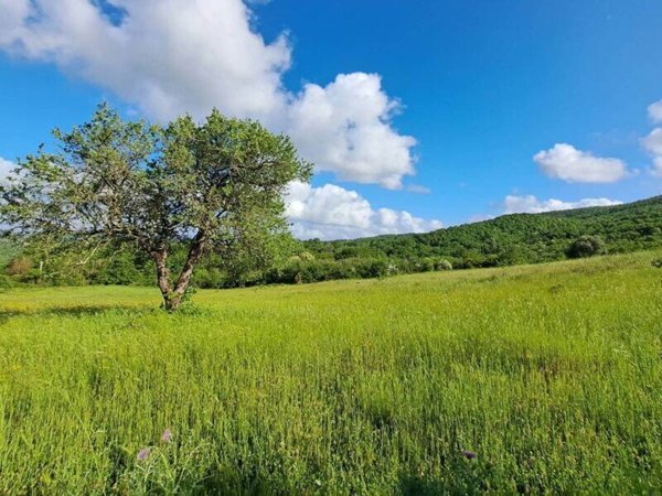 terreno agricolo in vendita a Vejano