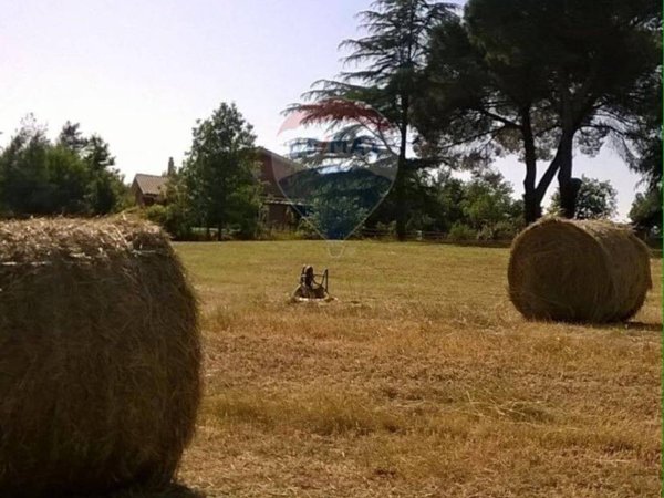 casa indipendente in vendita a Vejano
