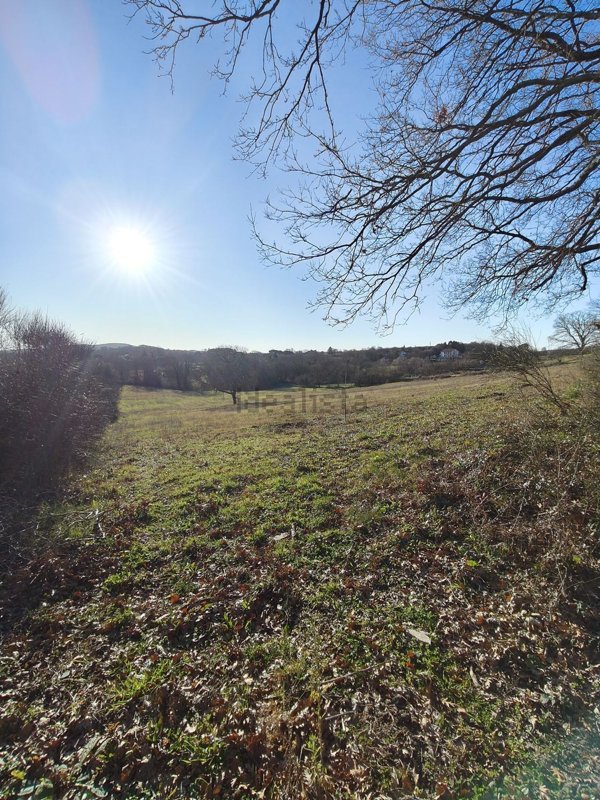 terreno agricolo in vendita a Vejano