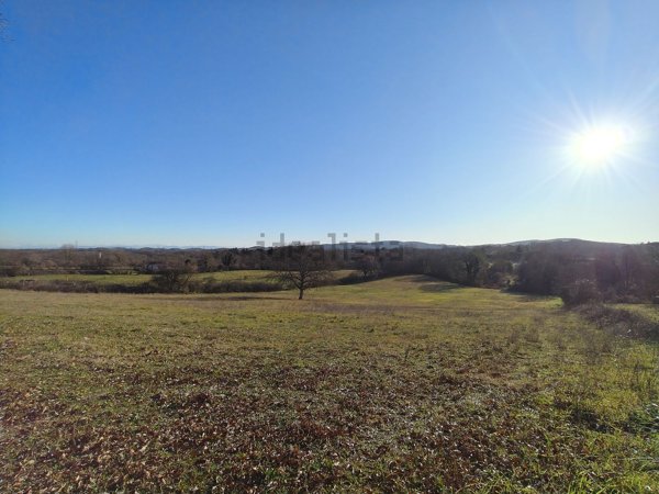 esavano in vendita a Vejano