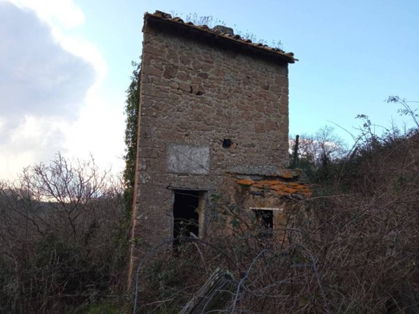 terreno agricolo in vendita a Vetralla in zona Madonna del Ponte