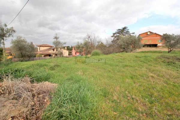 terreno agricolo in vendita a Vetralla