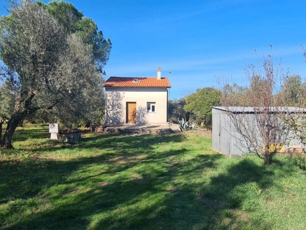 terreno agricolo in vendita a Vetralla