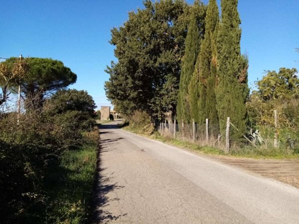 terreno agricolo in vendita a Vetralla in zona Mazzocchio