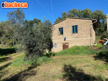 locale di sgombero in vendita a Vetralla