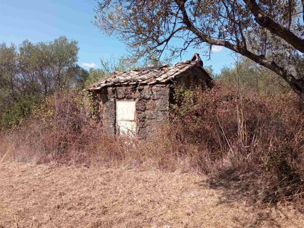 terreno agricolo in vendita a Vetralla