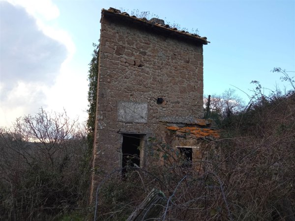terreno agricolo in vendita a Vetralla in zona Madonna del Ponte